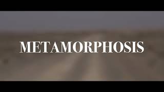 Metamorphisis film