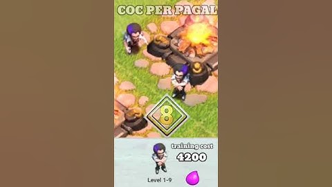 party wizat leavle 1 to max with traning cost #SHORT