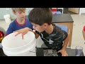 Water Savers: 3rd Grade Dishes Challenge