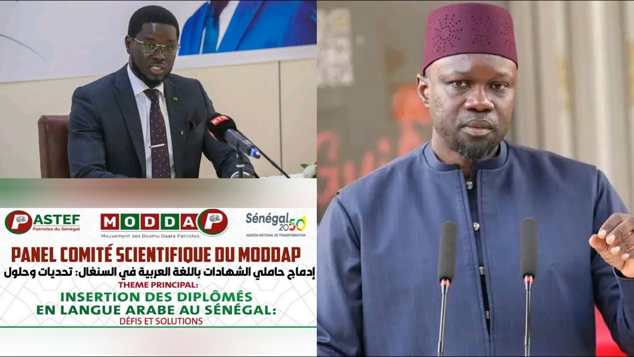🛑DIRECT : PANEL MODAP THEME / INSERTION DES DIPLÔMÉS EN LANGUE ARABE ...