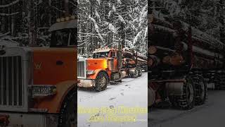 THESE RIGS WORK HARD AND LOOK GOOD DOING IT!