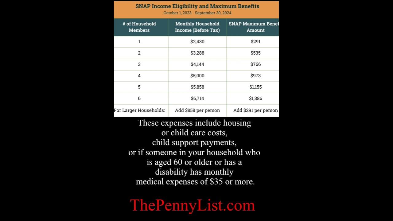 New Food Stamp/ SNAP Guidelines YouTube