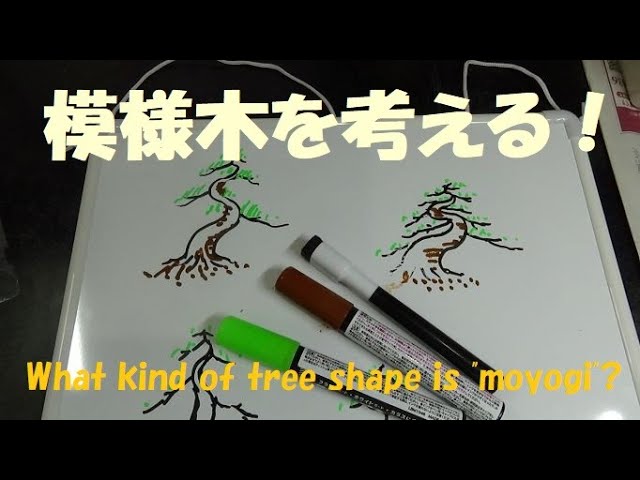 盆栽工房 春嘉 #161 【初心者向き】盆栽の樹形が分からない人へ！An