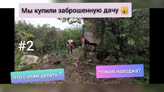 #2 МЫ купили ЗАБРОШЕННУЮ ДАЧУ / Расчистка участка