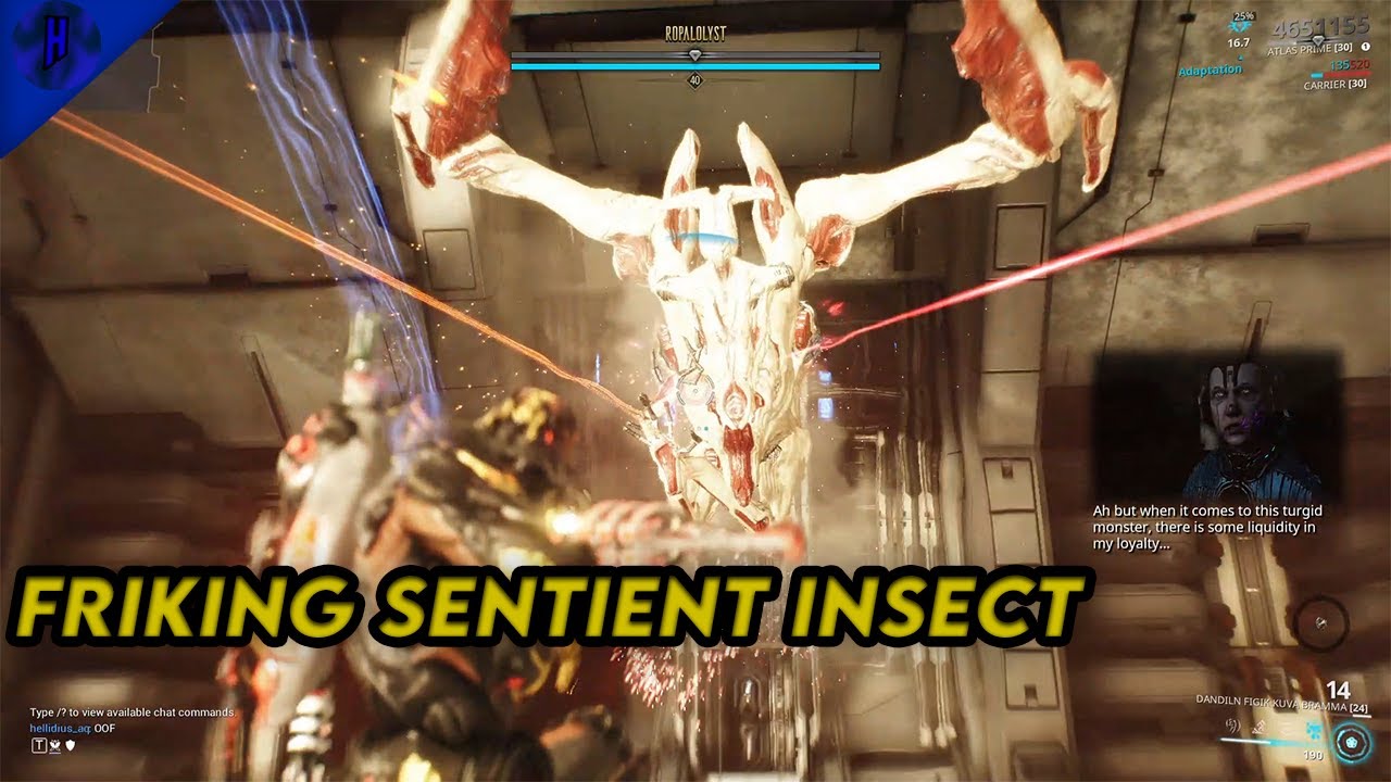 Friking Sentient Insect | Warframe - #27 - YouTube