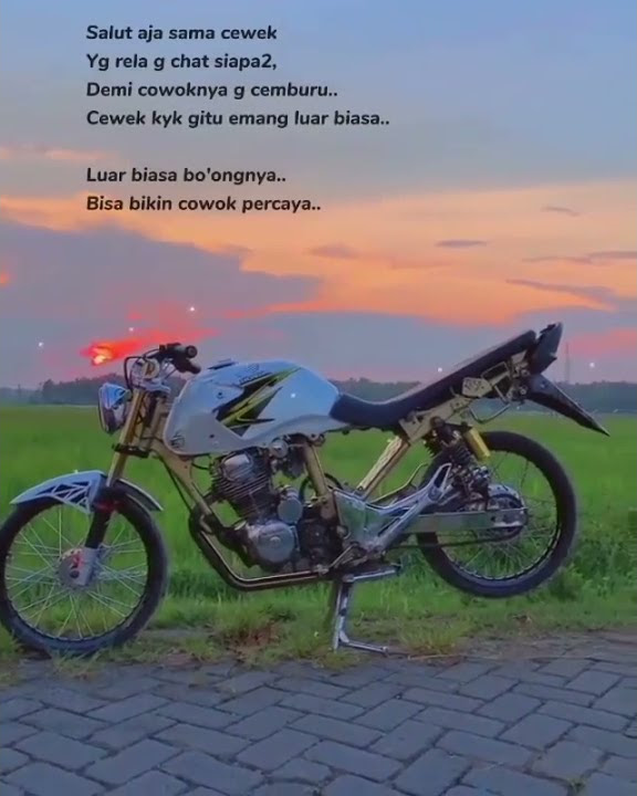 stori wa  herex tiger kata kata mutiara cinta