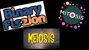 Binary Fission, Mitosis, and Meiosis