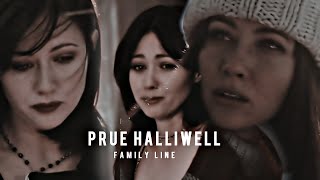 Family Line | prue halliwell