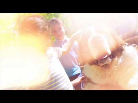 მთაწმინდის პარკი -  საბავშვო ზონა