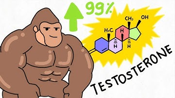 How Apes BOOST Testosterone Naturally