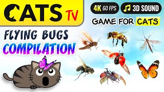 CAT TV - Crazy Bugs Compilation 2024 📺😻 Flying bugs 🐝🙀🪰 Multi background 🐝 🐭🪳