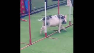 Daily r/gifs Highlights: January 24th, 2022