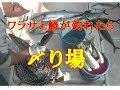 【海釣り情報　 船釣り情報】ワラサと鰆には・・・！〆り場第41弾
