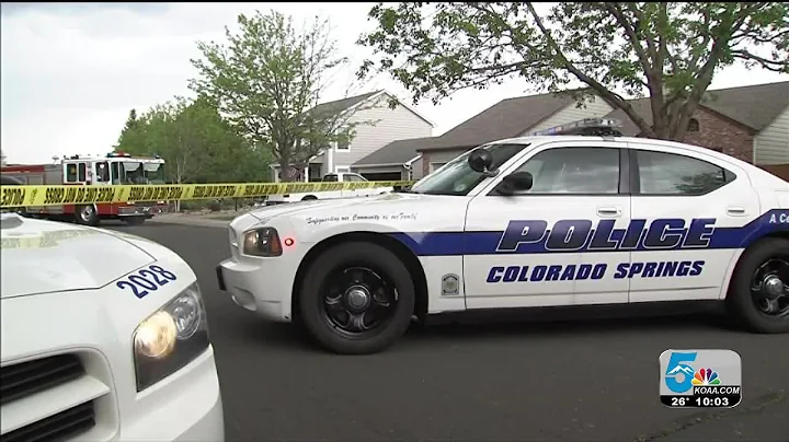 Analyzing CSPD's use of force