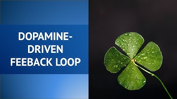 The Dopamine Loop: Hacking Your Brain for Better Habits