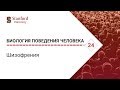 Биология поведения человека: Лекция #24. Шизофрения [Роберт Сапольски, 2010. Стэнфорд]