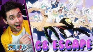 THE G8 ESCAPE BEGINS One Piece Ep. 201,202 Live Reaction!