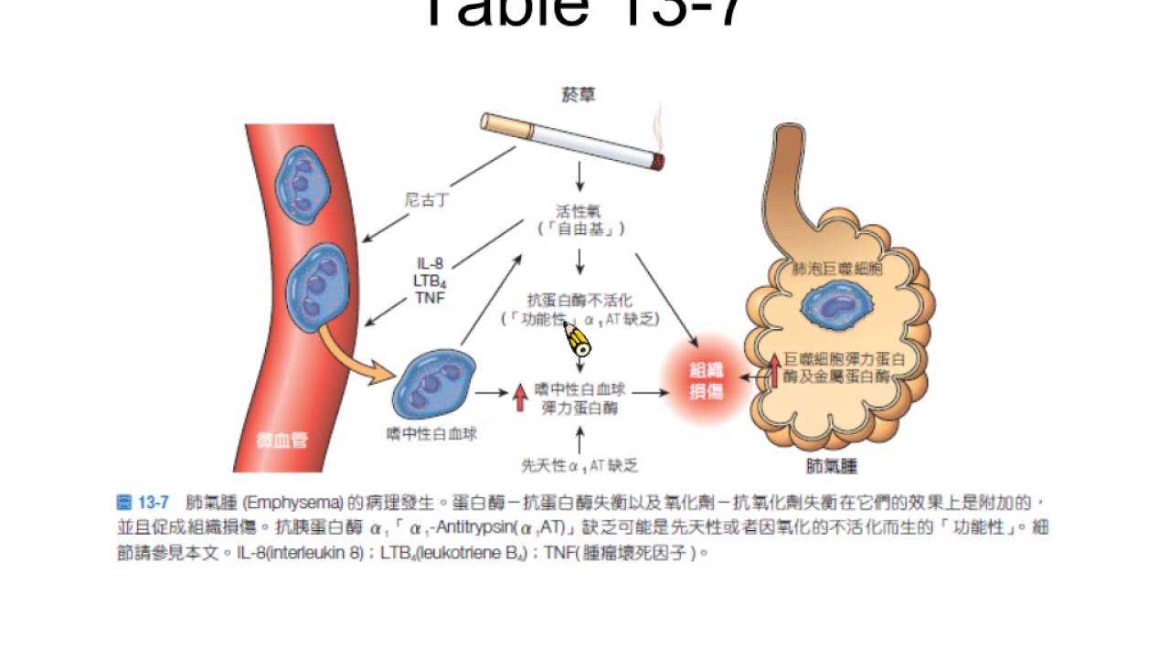 病理科怎樣 Playmisty