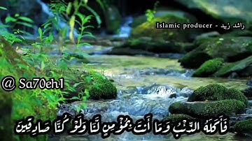 بالنبرة الحزينة الشيخ حسن صالح يرتل آيات  من سورة يوسف | أبكيتني يا شيخنا 💔 ترتيل من القلب ❤