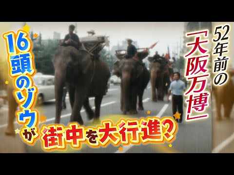 【ゾウが公道練り歩く？】「大阪万博」でゾウ１６頭が街中40kmを大行進「何でもありの昭和時代の万博だった」