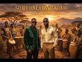 Stereo Love X Danza Kuduro Edward Maya Don Omar Afro Soul Mashup 