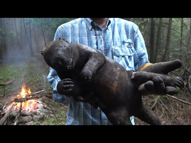 Porcupine Catch and Cook Clean | Learn The Primitive Hangi | Corn Meal Bread With Mortar & Pestle