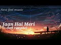 Jaan hai meri lofi remake next feel music