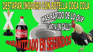 ¿Cómo destapar un inodoro con una botella de gaseosa?