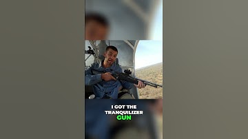 Saving Rhinos! MrBeast