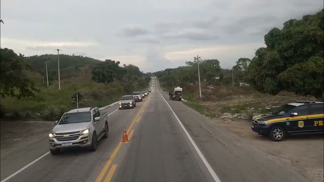 《EP244》AGRESTINA PERNAMBUCO BR104