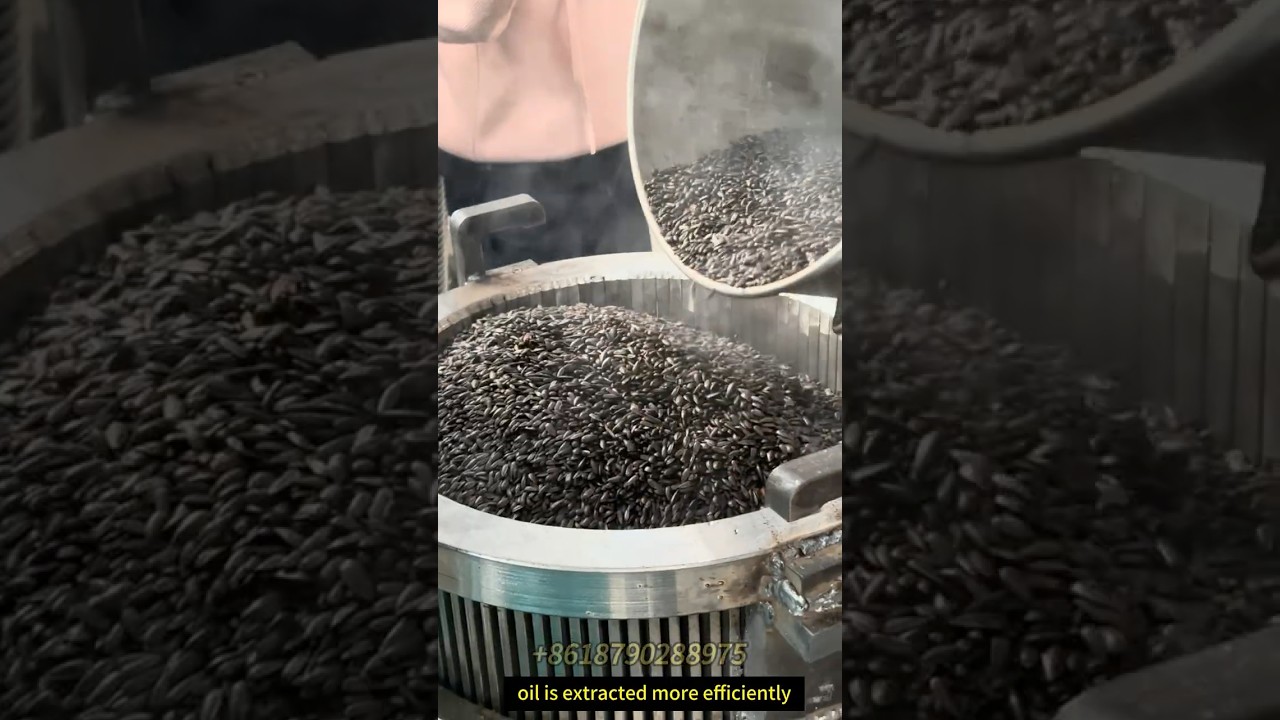 hydraulic oil press for pressing sunflower seed oil