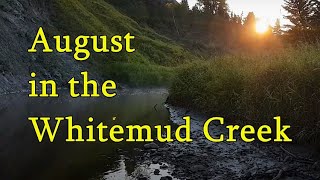 August Wanderings in the Whitemud Creek Valley Ravine in Edmonton, Alberta