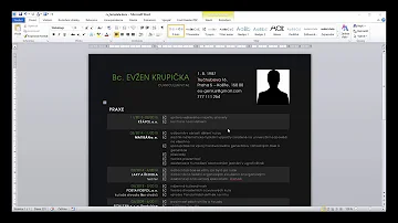 Jak začít s online šablonami životopisu?