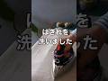#はぎれを洗いました#ハギレ活用 #アイロン台 #short #ミシン #洋裁 #縫い物 #diy