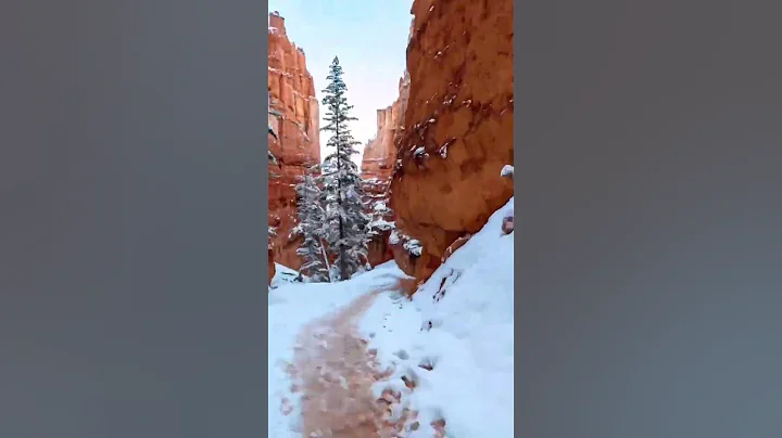 Most Beautiful places In Usa❤️ #shorts #travel #explore #adventure #nature #usa