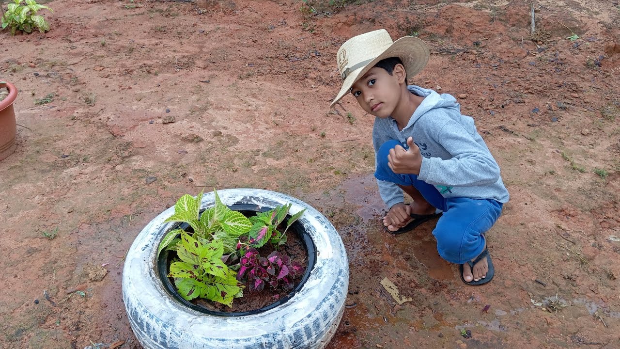 fiz um pneu de coleus 🌹 Jamir fez uma mesa pra  replantar flores 🌺💞