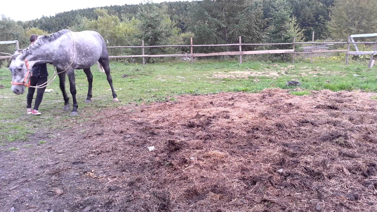 "Квалификация на 1ый уровень.Нури.4 осень2012"