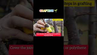 What is Grafting? 🌱 Steps &amp; Examples Explained | Shorts. #BiologyShorts #PlantScience #Botany