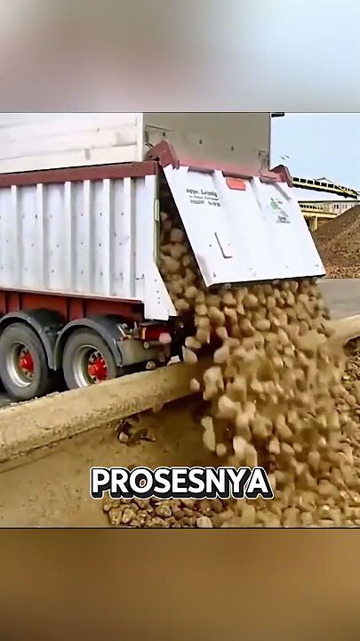 Why Don't Europeans Use Cane Sugar? #agriculture