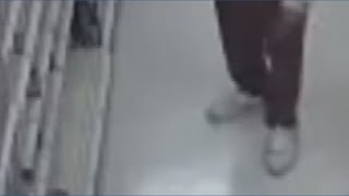 Police: Lego thief replaces bricks with pasta