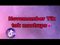 *The Best* TikTok Mashup November *2020*(Not clean)🧡💛