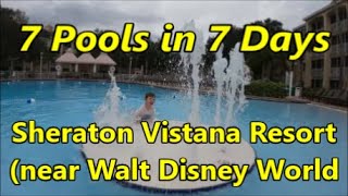 7 Pools in 7 Days  Sheraton Vistana Resort (near Walt Disney World)