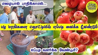 Fruits tree planting Demo🌳 மாடியில் பழ மரங்கள்🌳10 ஆண்டுகள் ஆனாலம் ஒன்றும் ஆகாது Plan இப்படி பண்ணுங்க