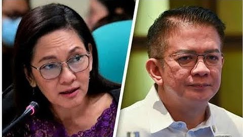 An OPEN LETTER to 20th CONGRESS SENATORS on HONTIVEROS Controversy