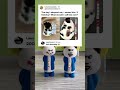 From 2 Ketchup to 200 Ketchup real quick! 🐱🍔,,#funny #catmemes #glowup
