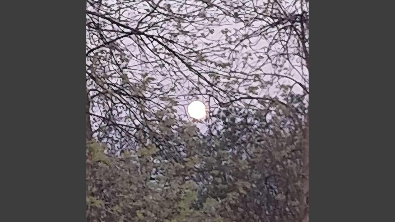 sunbleached adlı videoyu YouTube'da izle sunbleached adlı videoyu YouTube'da izle