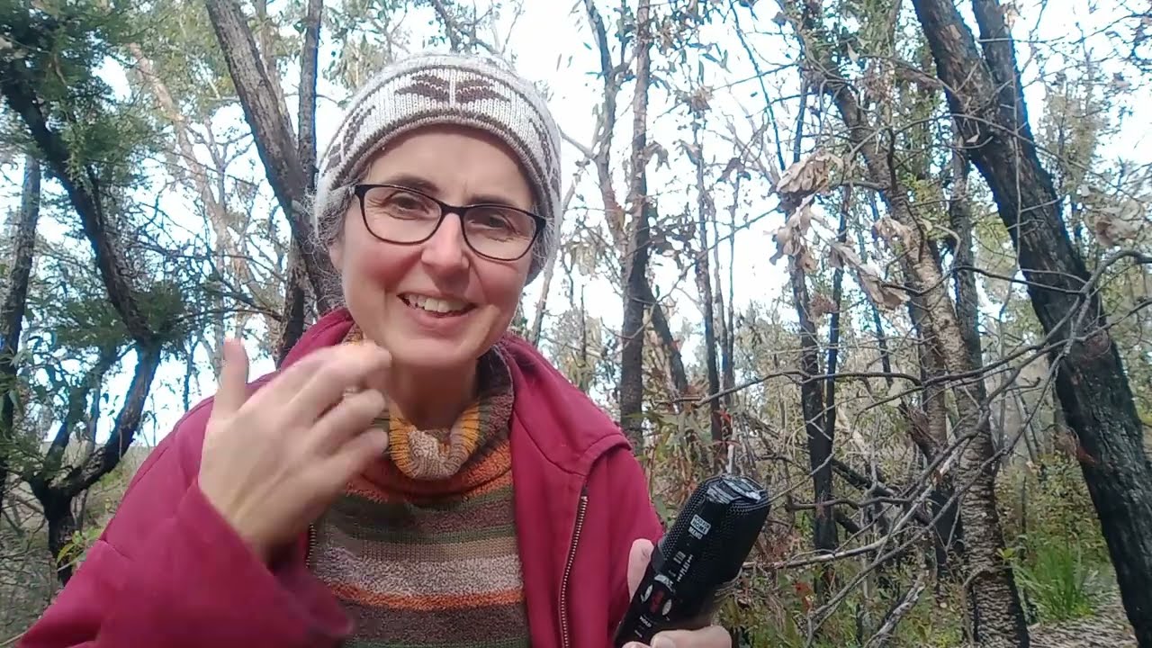 Малая служба Непорочного Зачатия в григорианском хорале