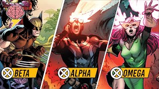 What Is Omega Level?