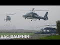 Three aac dauphin helicopters visit a local airfield