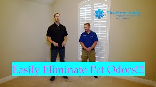 How To Get Pet Odors Out Of Your Carpet - What Gets Rid Of Dog Pee Smell?